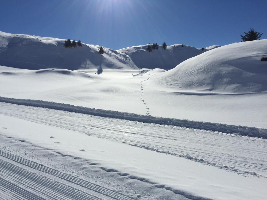 Appartements Ski Rent Michael Kitzbühel Dış mekan fotoğraf